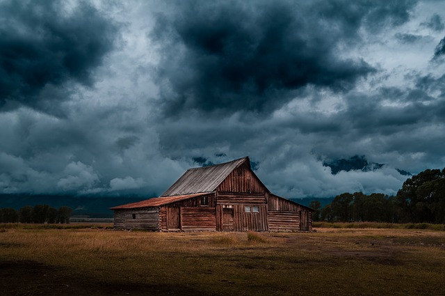 small goat farm with green pastures and rustic wooden barn at sunrise